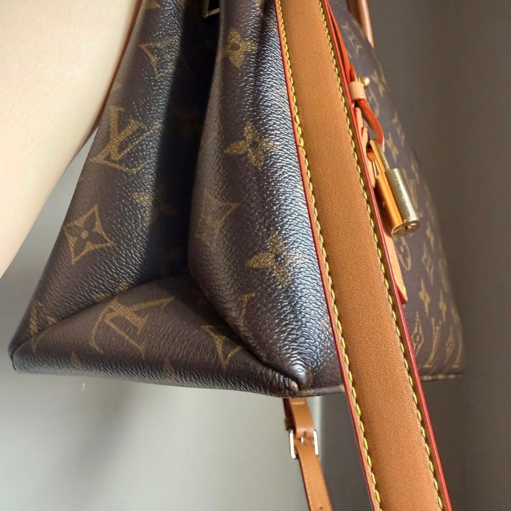 Louis Vuitton bag - Picture 10 of 16